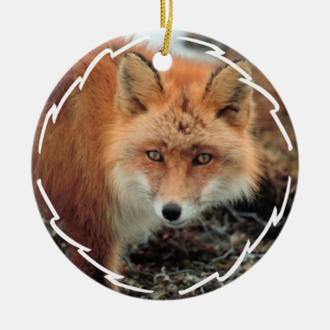 Ornement d'espèces de Fox (Devant)