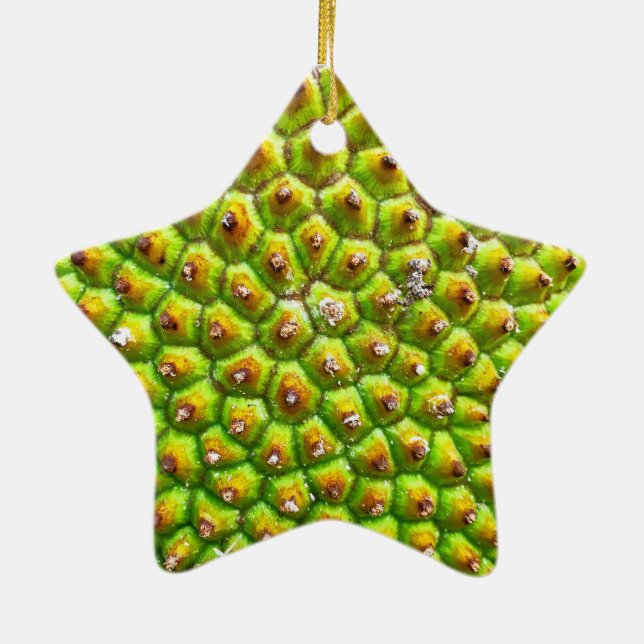 Ornement d'étoile à deux côtés de Jackfruit (Dos)