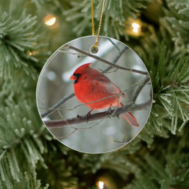 Ornement d'hiver du cardinal rouge (Arbre)