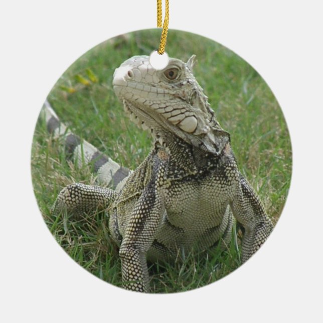 Ornement d'iguane (Devant)