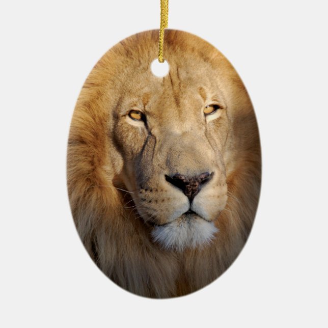 Ornement d'images de lion (Devant)