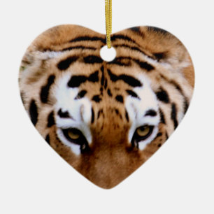 Ornement d'inscriptions de tigre
