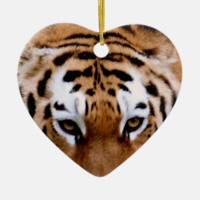 Ornement d'inscriptions de tigre (Devant)
