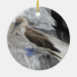 Ornement d'oiseau