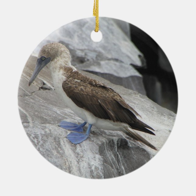 Ornement d'oiseau (Dos)