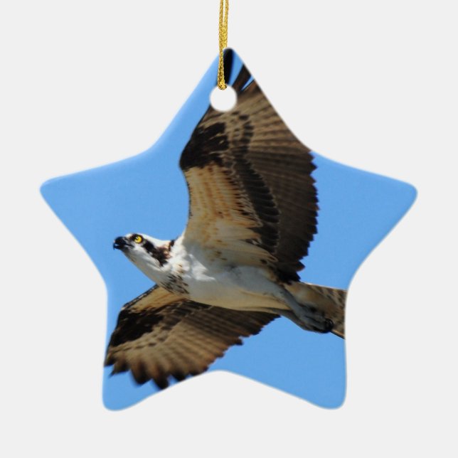 Ornement d'oiseau de balbuzard (Devant)