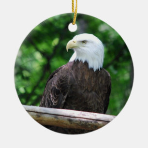 Ornement d'oiseau d'Eagle chauve