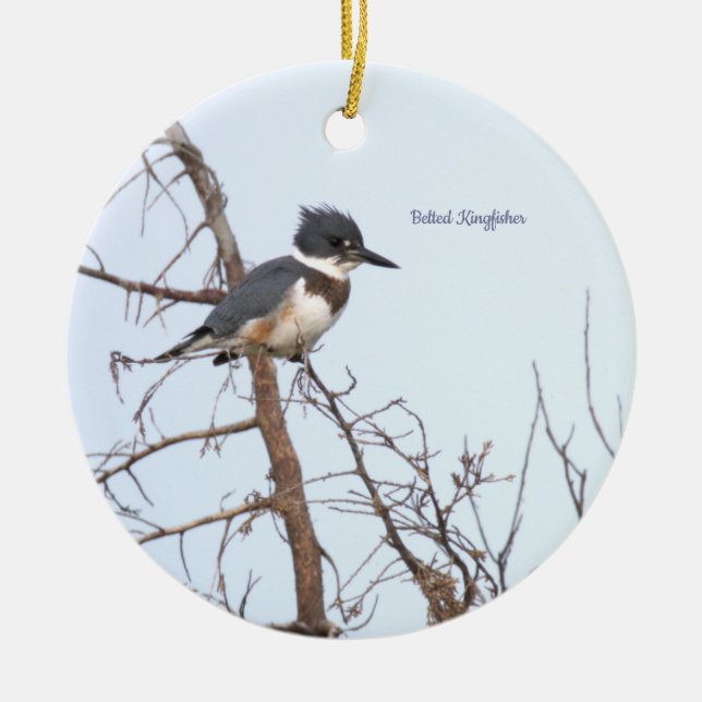 Ornement d'oiseau martin-pêcheur à ceinture  (Devant)