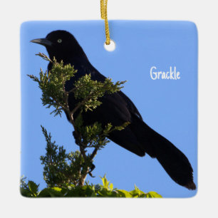 Ornement d'oiseaux de cabot