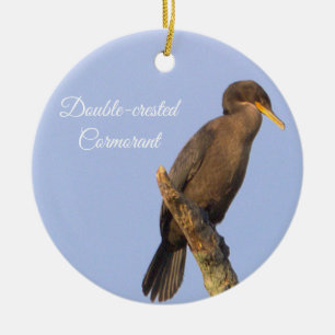 Ornement d'oiseaux de Cormorant à double crête