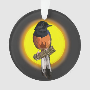 Ornement d'oiseaux de Shama à poings blancs