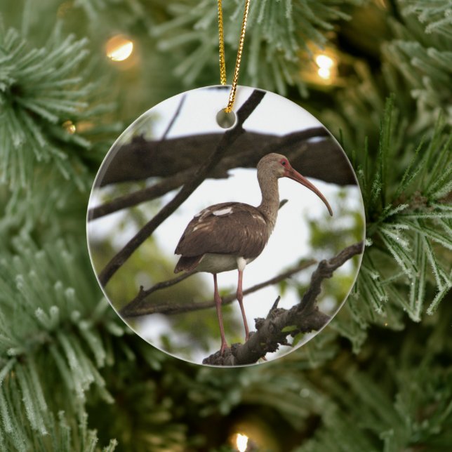 Ornement d'oiseaux Ibis (Arbre)