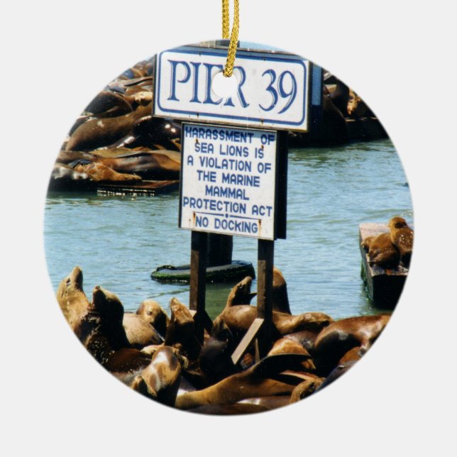Ornement d'otaries de la jetée 39 (Devant)