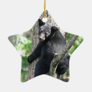ornement d'ours