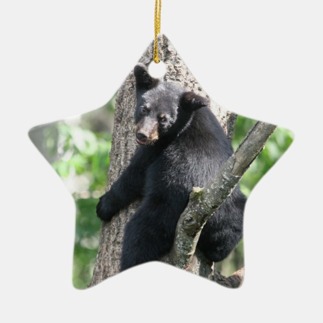 ornement d'ours (Devant)