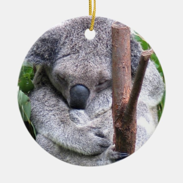 Ornement d'ours de koala (Devant)