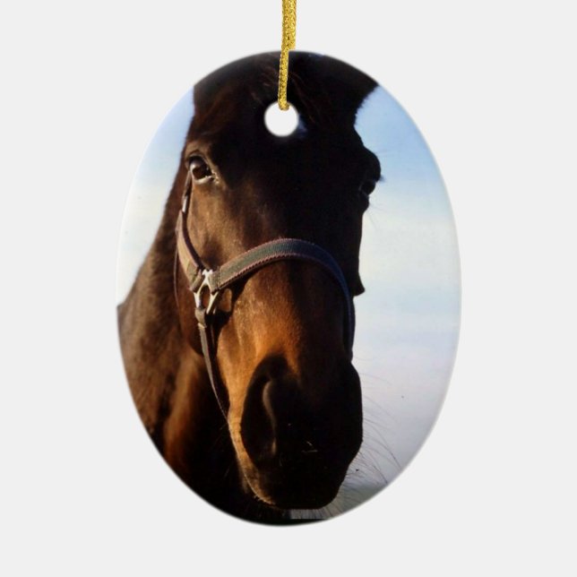 Ornement doux de cheval de pur sang (Devant)