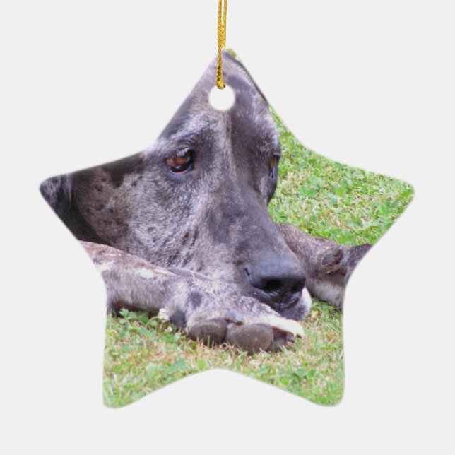 Ornement doux de great dane (Devant)