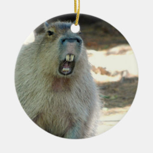 Ornement drôle de Capybara
