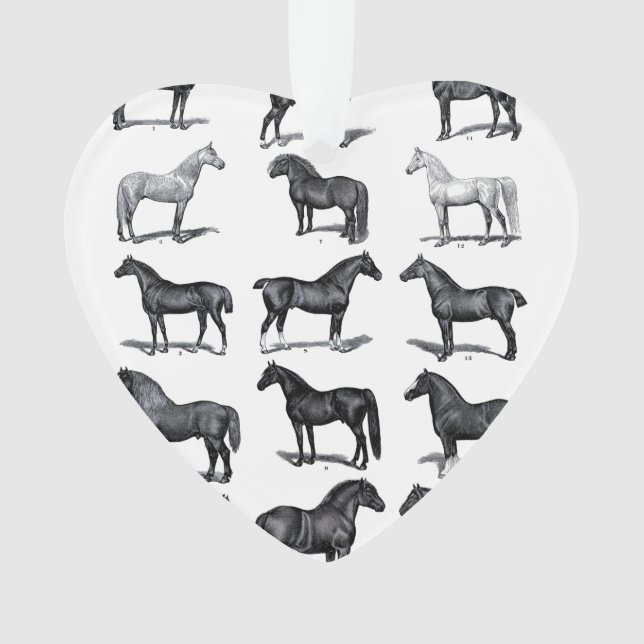 Ornement du cavalier (devant)