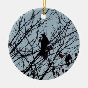 Ornement du corbeau