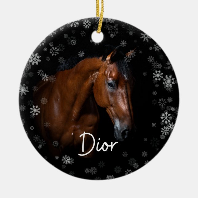 Ornement du Dior du Cheval de l'Espoir (Devant)