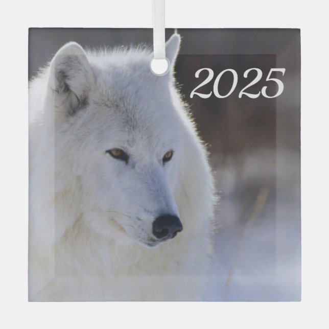 Ornement du loup arctique (Recto)