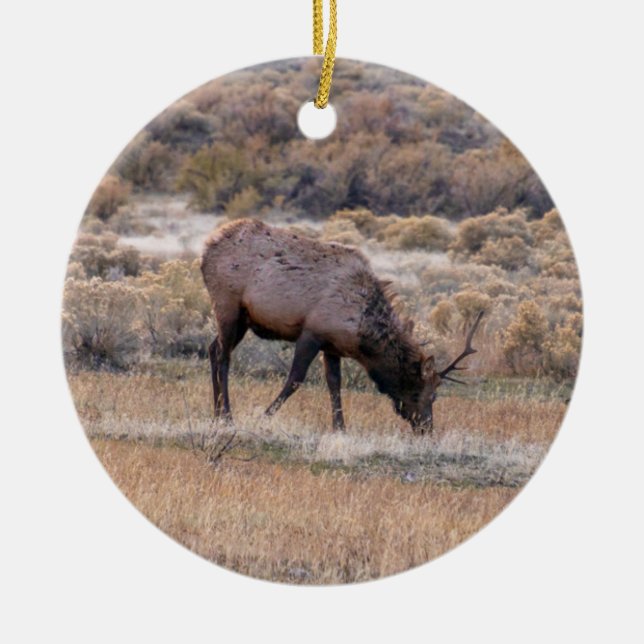 Ornement Elk Deer (Devant)