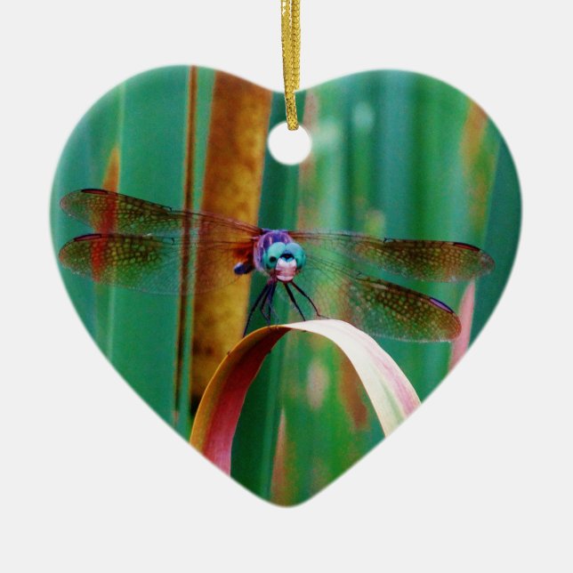 Ornement En Céramique A teal Eyed Dragonfly with cattails (Devant)
