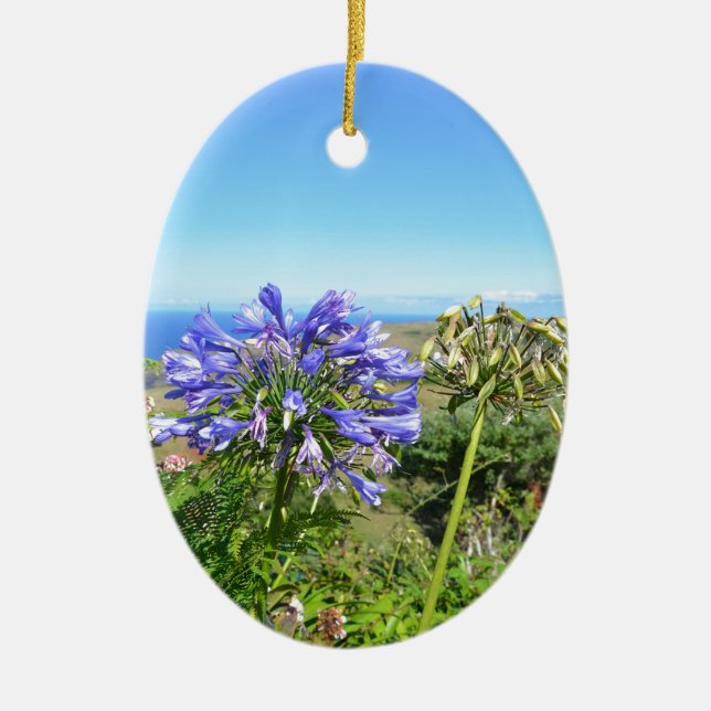Ornement En Céramique Agapanthus aux Açores (Devant)