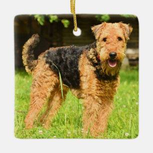Ornement En Céramique Airedale Terrier Chien chiot