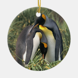 Ornement En Céramique Amants de pingouins de roi