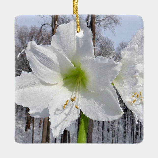 Ornement En Céramique Amaryllis blanc et neige II (Devant)