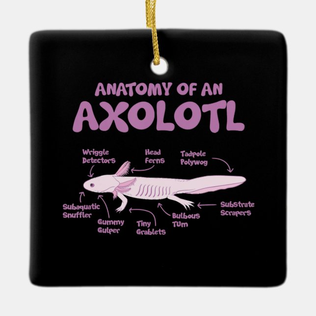 Ornement En Céramique anatomie d'un axolotl axolotls biologie science. (Devant)