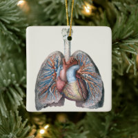 Anatomie humaine vintage Poumons Coeur Organes San