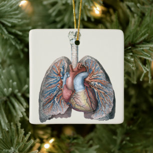 Ornement En Céramique Anatomie humaine vintage Poumons Coeur Organes San