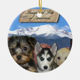 Ornement En Céramique Animal familier personnalisable