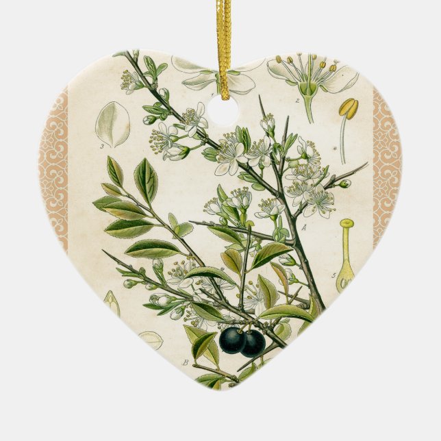 Ornement En Céramique Antique Blackthorn Botanique Imprimé Fleur Berry (Devant)
