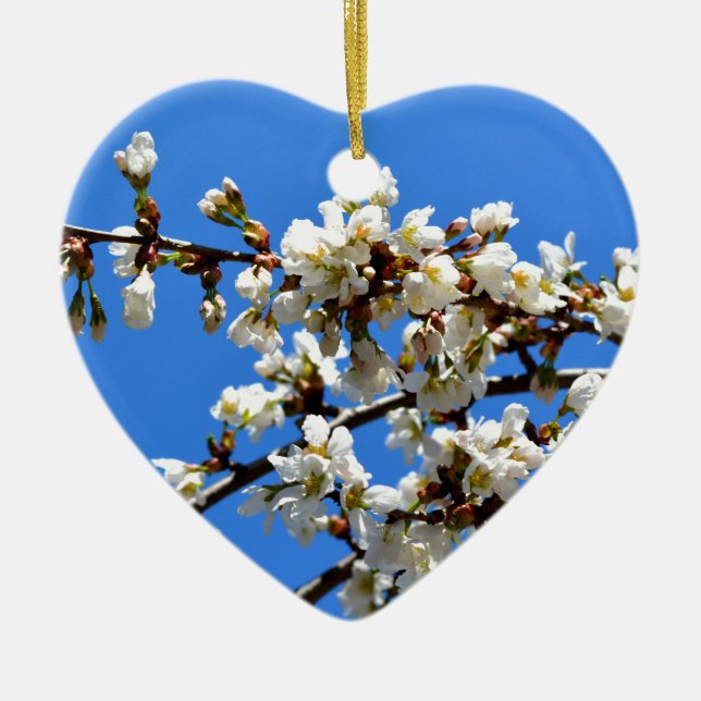 Ornement En Céramique Arbre de printemps blanc fleuri blanc (Devant)