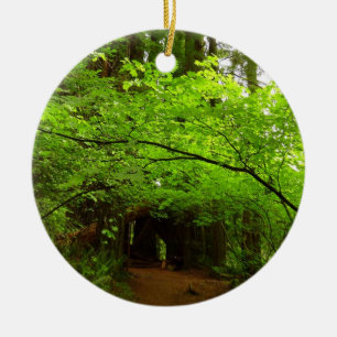 Ornement En Céramique Arbres à érable dans la forêt de séquoias