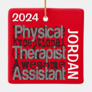 Ornement En Céramique Assistant de physiothérapie Extraordinaire PERSONN