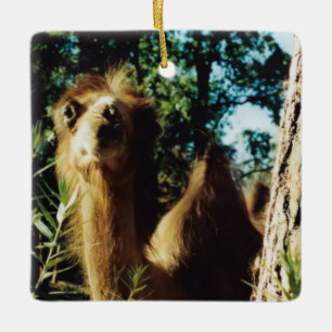 Ornement En Céramique Baba paisible