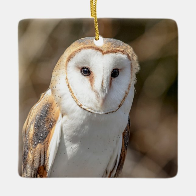 Ornement En Céramique Barn Owl (Devant)