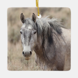 Ornement En Céramique Bassin de lavage de sable Chevaux sauvages Ornemen