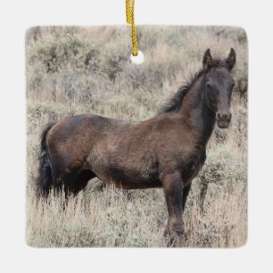 Ornement En Céramique Bassin de lavage de sable Chevaux sauvages Ornemen