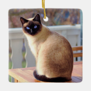 Ornement En Céramique Beau chat siamois avec yeux bleus