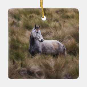 Ornement En Céramique Beau Cheval gris coloré