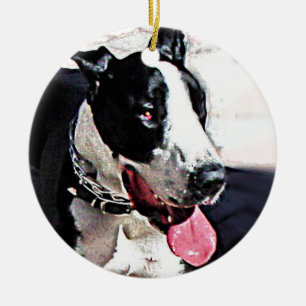 Ornement En Céramique Beau chien noir et blanc
