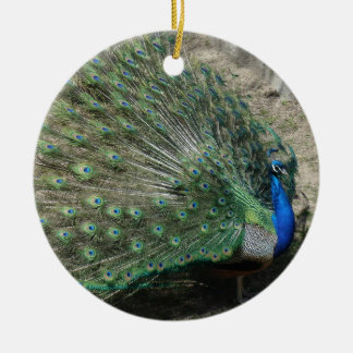 Ornement En Céramique Beau Peacock