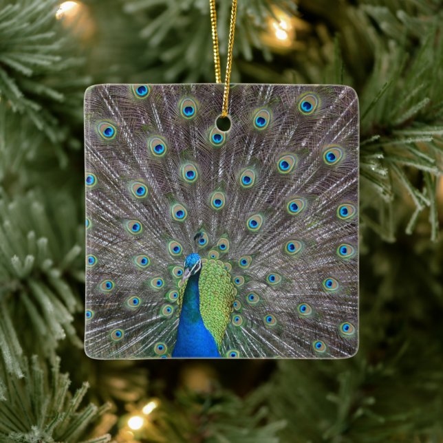 Ornement En Céramique Beau Peacock (Arbre)